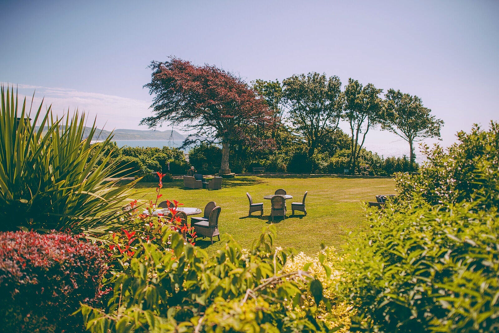 the Alexandra gardens