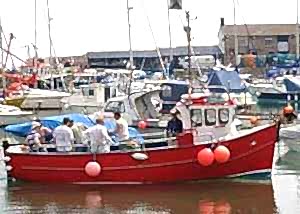 Mackerel Fishing in Lyme Bay